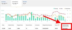 Niche Site Case Study Month 9